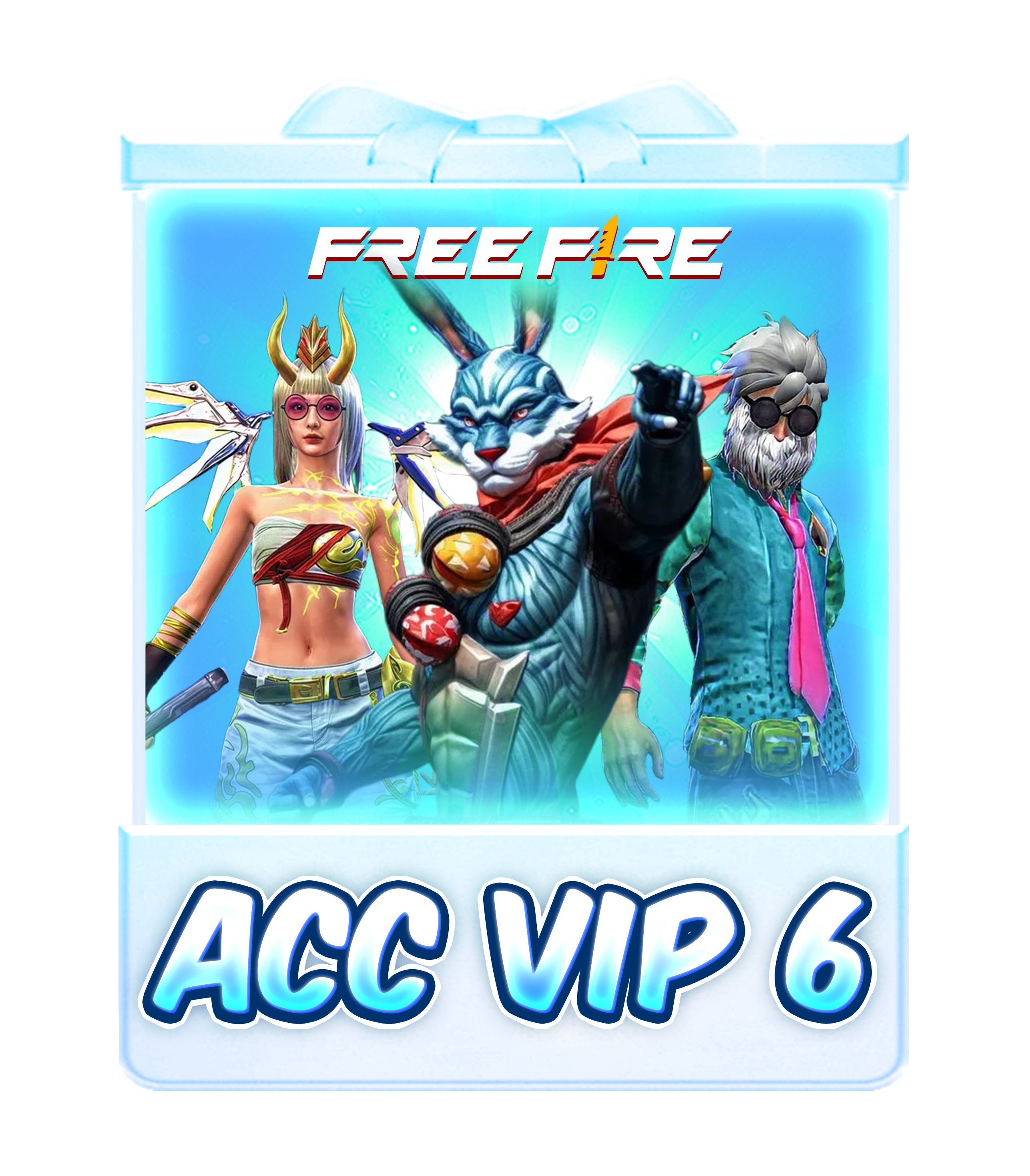 Acc VIP6